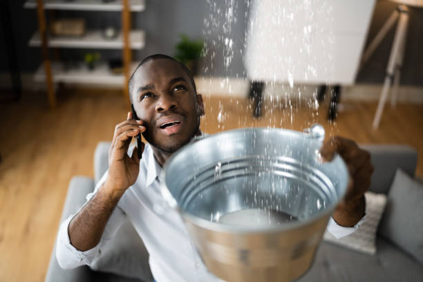 Best Water damage repair service  in Lake Ridge, VA