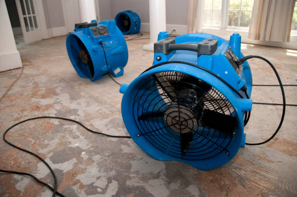 Best Emergency water damage restoration  in Lake Ridge, VA
