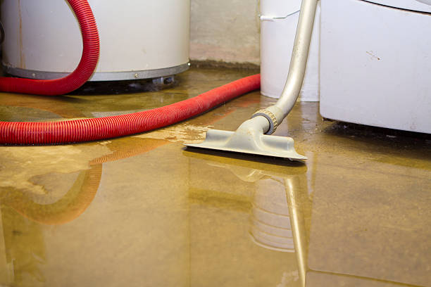 Best Residential water damage restoration  in Lake Ridge, VA