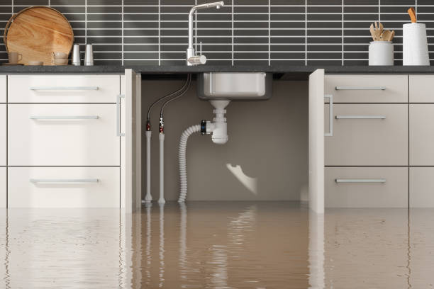 Best Fire Damage Restoration  in Lake Ridge, VA