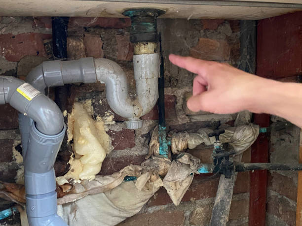 Water damage restoration mold remediation in VA