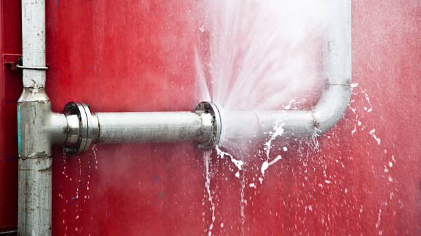 Best Mold removal after water damage  in Lake Ridge, VA
